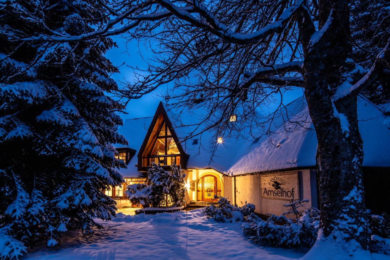 Landhaus Amselhof ฮินเทอร์ซาร์เทน ภายนอก รูปภาพ